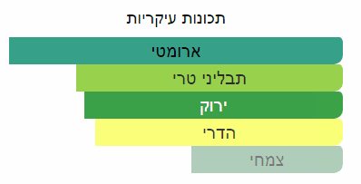 תכונות ריח עיקריות של דוגמית בושם מסוג טורינו21 של חברת סרגוף